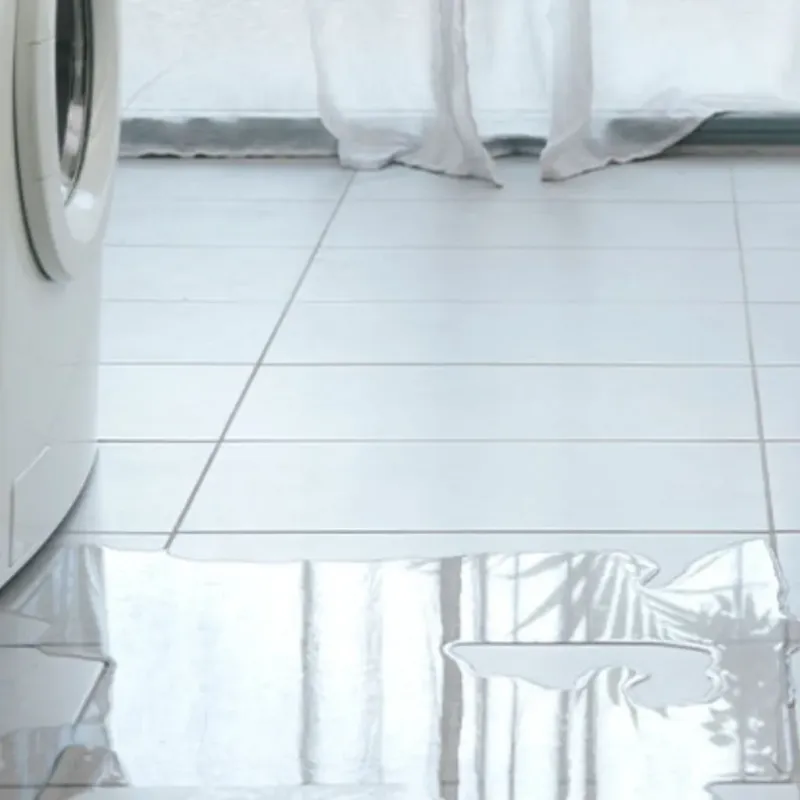 Appliance Leak Cleanup in Newport, PA