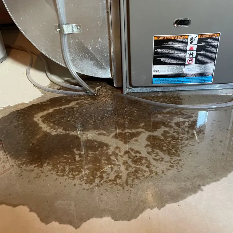 Pipe Burst and Leak Restoration in Newport, PA