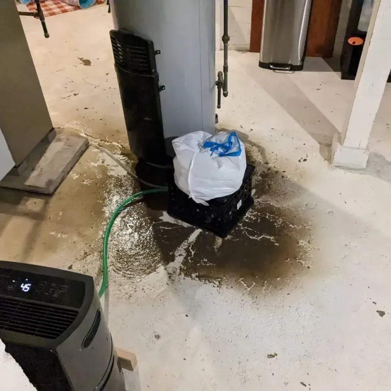 Sewage Backup Cleanup Service in Newport, PA